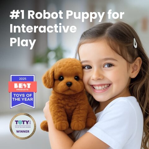 Woofy Robot Dog Toy image